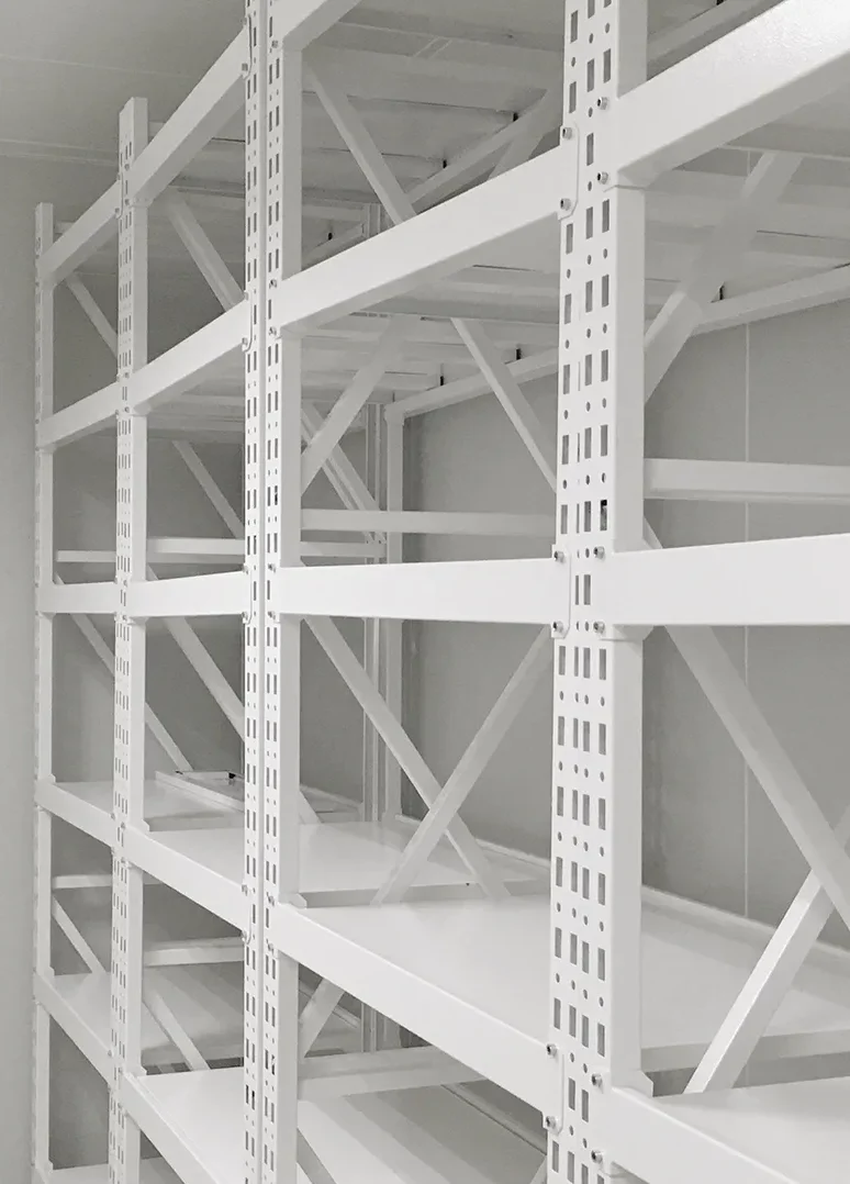 shelf-e1747778010381